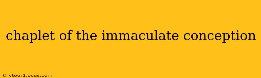 chaplet of the immaculate conception