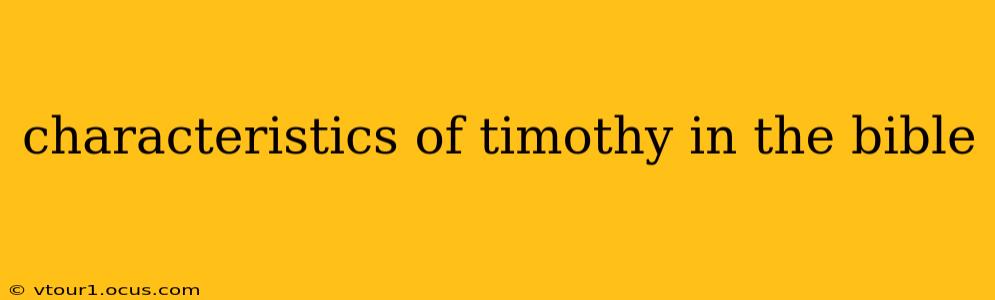 characteristics of timothy in the bible
