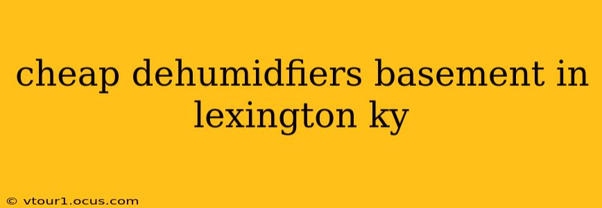 cheap dehumidfiers basement in lexington ky
