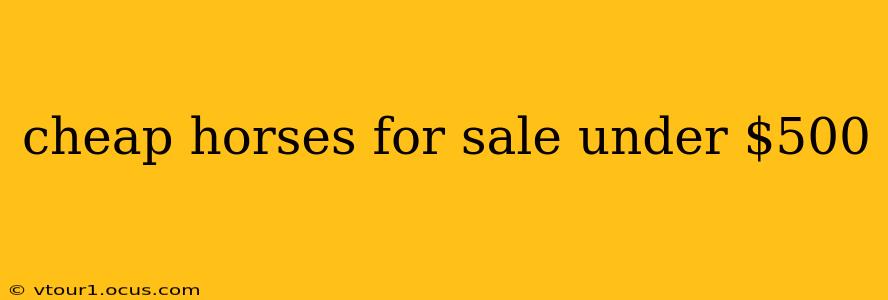 cheap horses for sale under $500