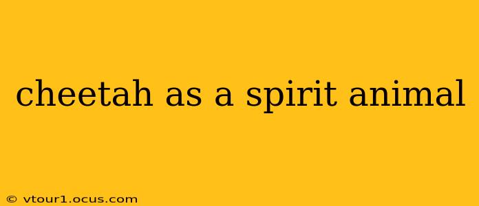 cheetah as a spirit animal