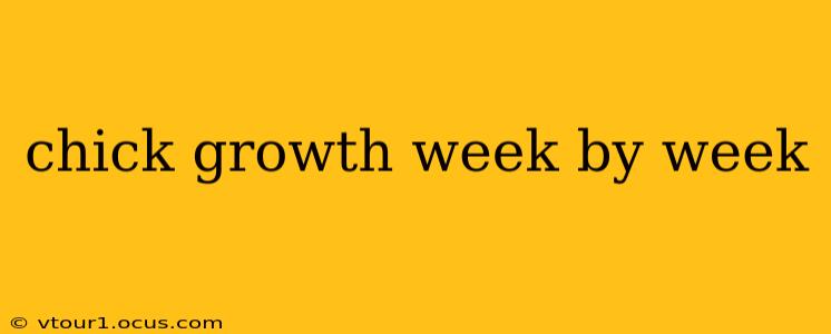chick growth week by week
