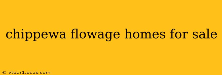 chippewa flowage homes for sale