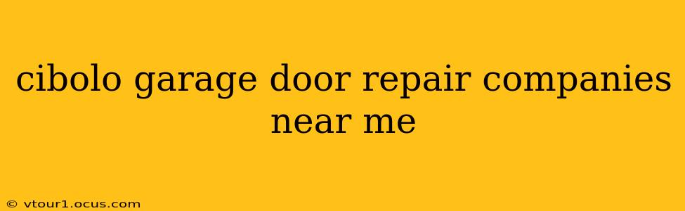cibolo garage door repair companies near me