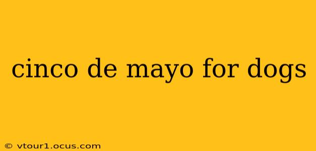 cinco de mayo for dogs