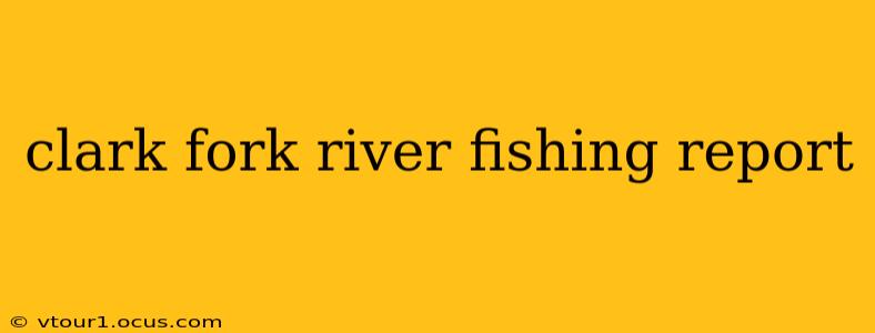 clark fork river fishing report