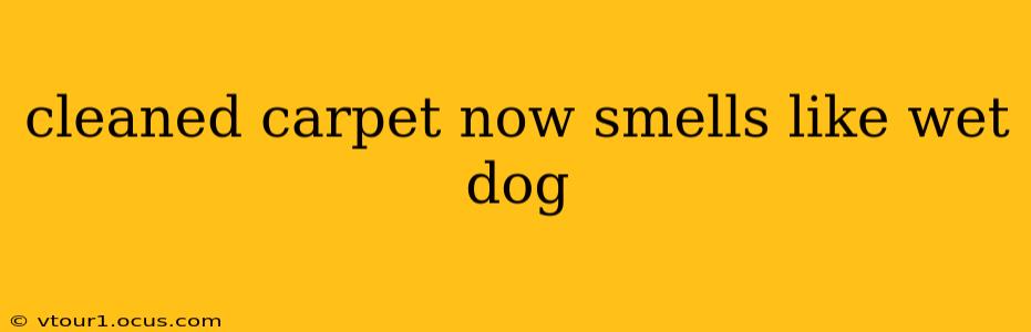 cleaned carpet now smells like wet dog