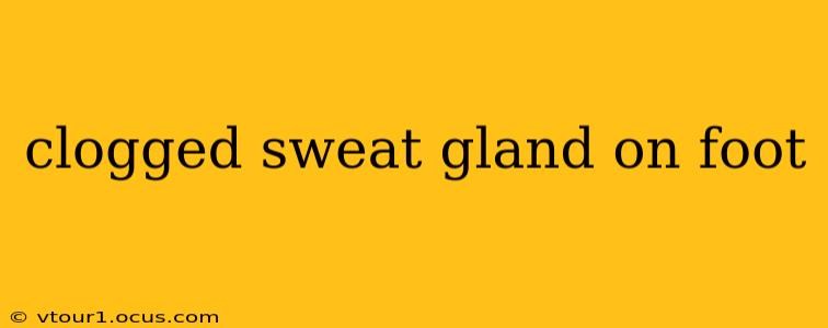 clogged sweat gland on foot