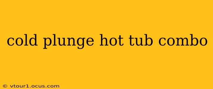 cold plunge hot tub combo
