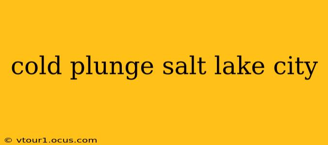 cold plunge salt lake city