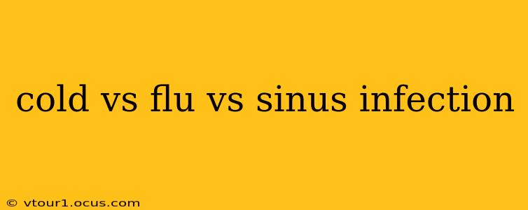 cold vs flu vs sinus infection
