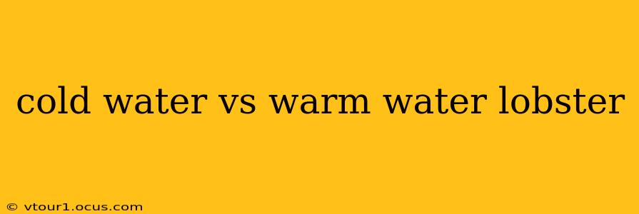 cold water vs warm water lobster