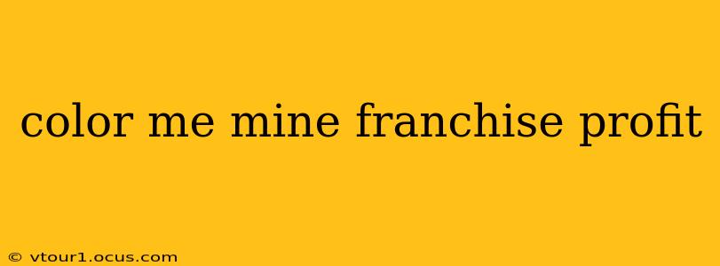 color me mine franchise profit