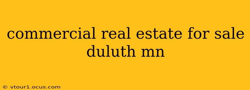 commercial real estate for sale duluth mn