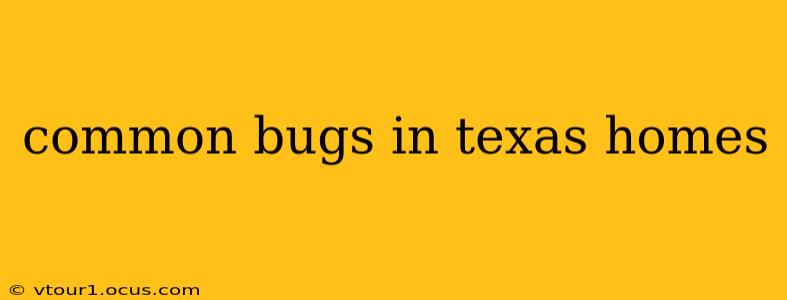 common bugs in texas homes