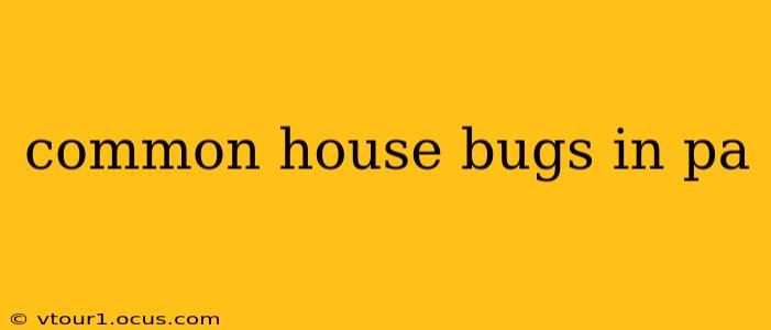 common house bugs in pa