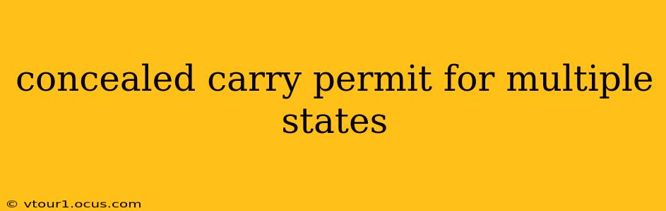 concealed carry permit for multiple states