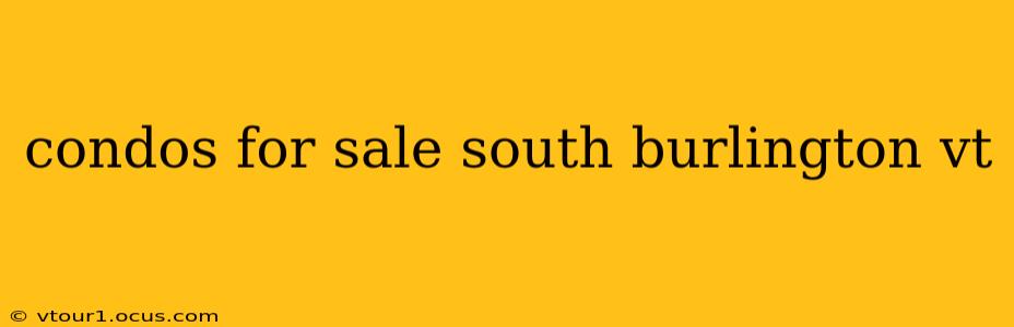 condos for sale south burlington vt
