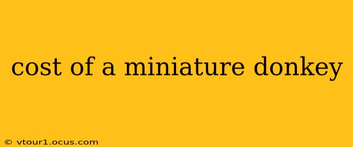cost of a miniature donkey
