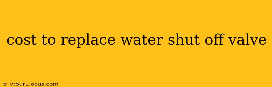 cost to replace water shut off valve