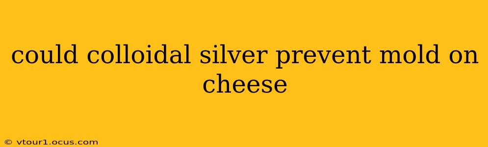 could colloidal silver prevent mold on cheese