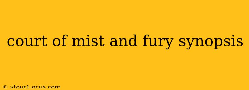 court of mist and fury synopsis