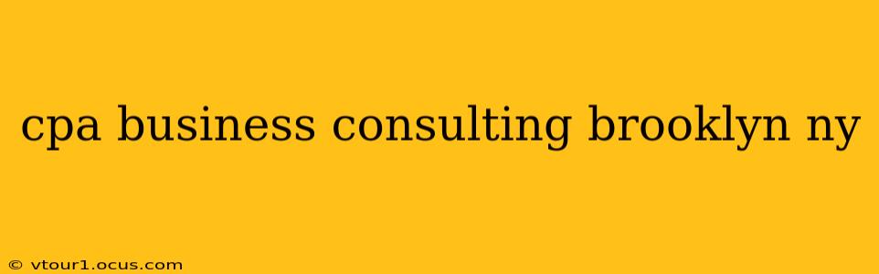 cpa business consulting brooklyn ny