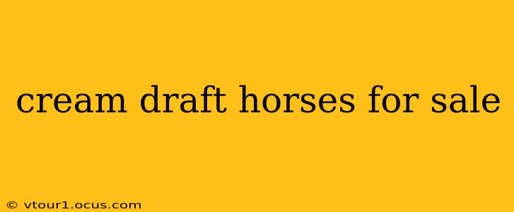 cream draft horses for sale