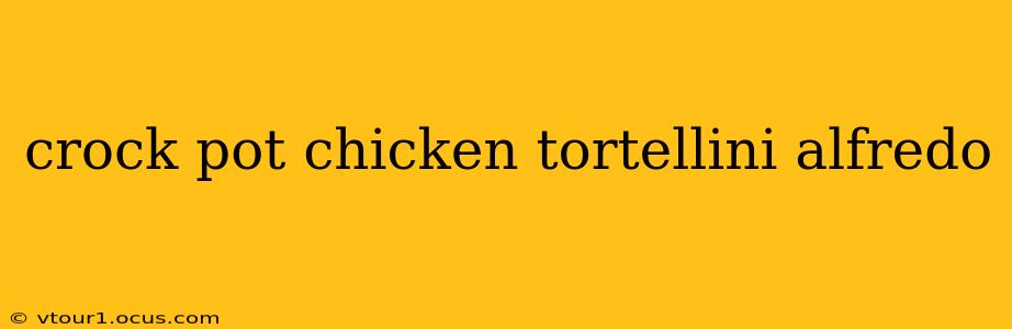 crock pot chicken tortellini alfredo