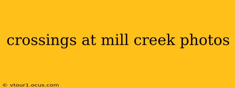 crossings at mill creek photos