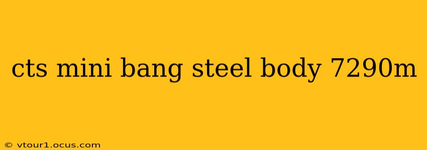 cts mini bang steel body 7290m