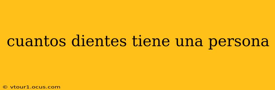 cuantos dientes tiene una persona