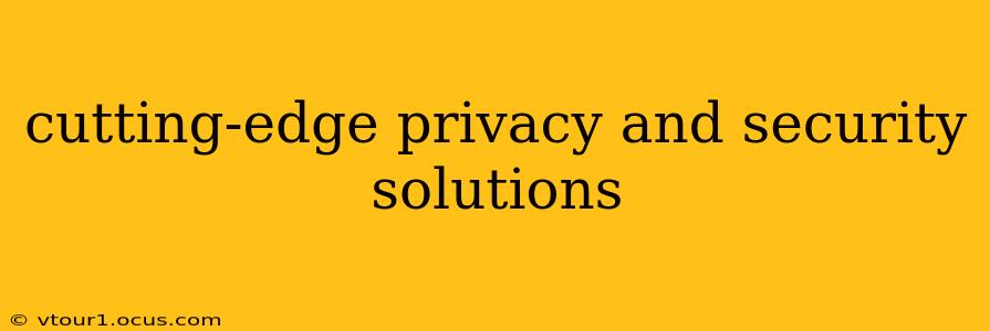 cutting-edge privacy and security solutions