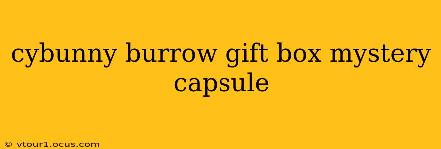 cybunny burrow gift box mystery capsule