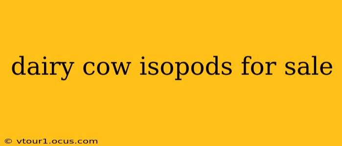dairy cow isopods for sale