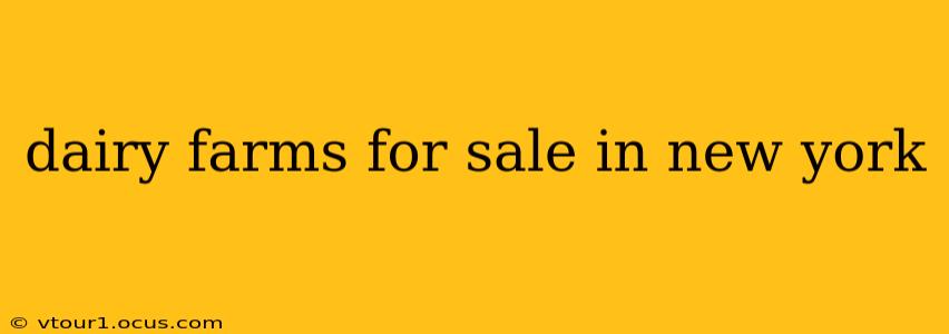 dairy farms for sale in new york