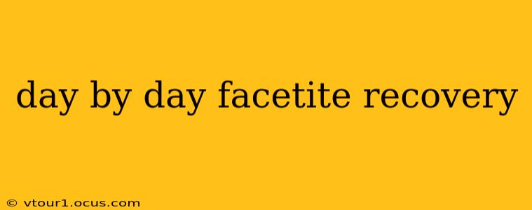 day by day facetite recovery