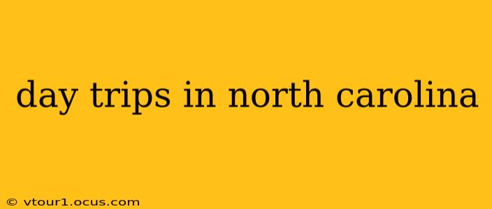 day trips in north carolina