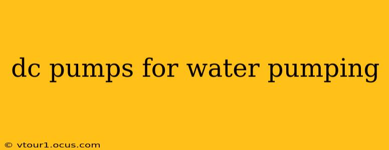 dc pumps for water pumping
