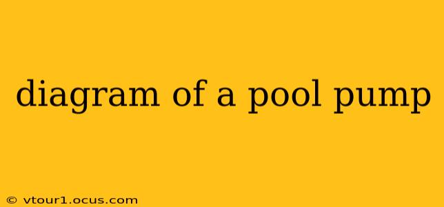 diagram of a pool pump