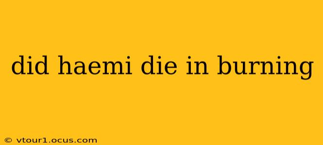 did haemi die in burning