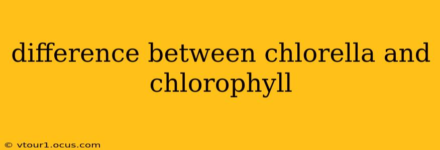 difference between chlorella and chlorophyll