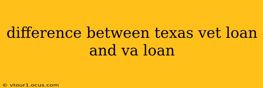difference between texas vet loan and va loan