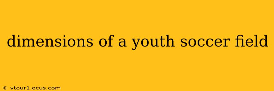 dimensions of a youth soccer field