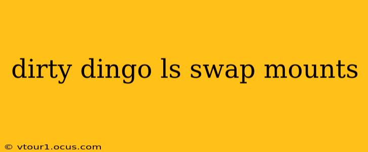 dirty dingo ls swap mounts