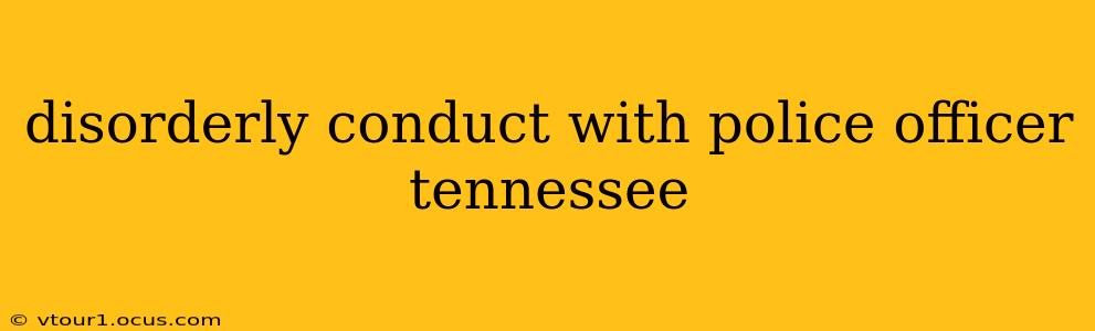 disorderly conduct with police officer tennessee