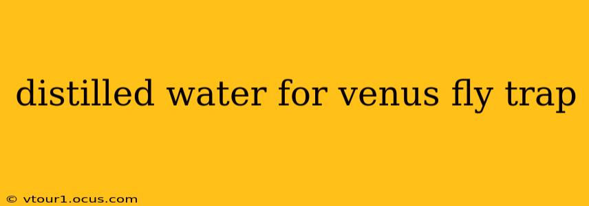 distilled water for venus fly trap