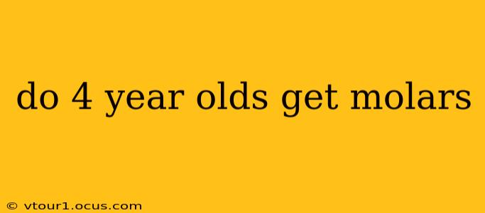 do 4 year olds get molars
