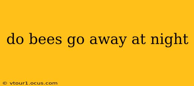 do bees go away at night