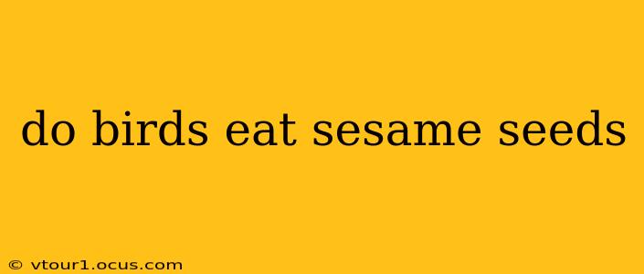 do birds eat sesame seeds